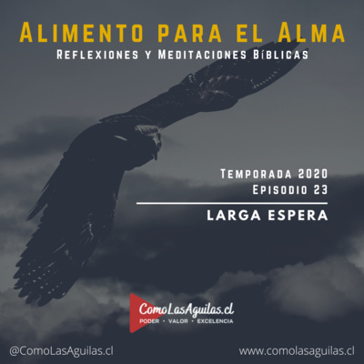 Larga Espera