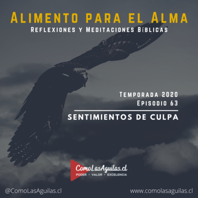 Sentimientos de Culpa