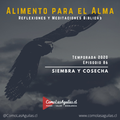 Siembra y Cosecha