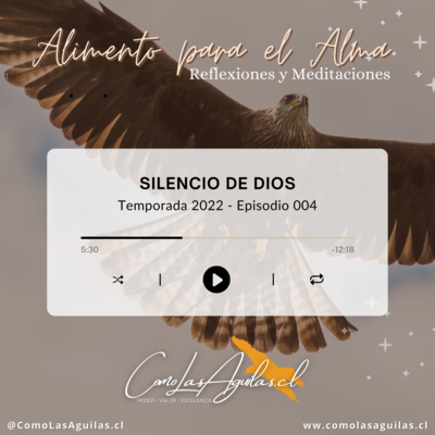 Silencio de Dios