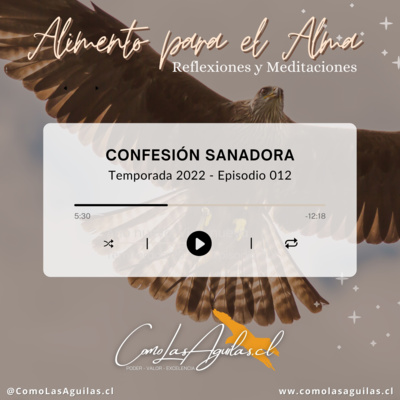 Confesión Sanadora