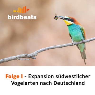 Expansion südwestlicher Vogelarten nach Deutschland