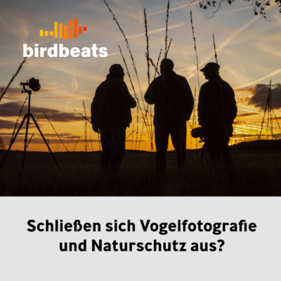 Schließen sich Vogelfotografie und Naturschutz aus?