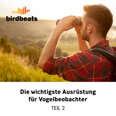 Die wichtigste Ausrüstung für Vogelbeobachter - Teil 2