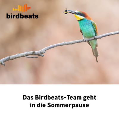 Das Birdbeats-Team geht in die (wohlverdiente) Sommerpause!