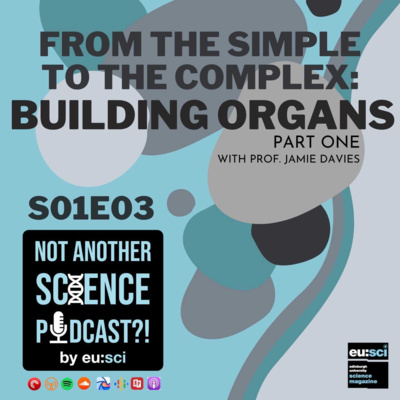 From the Simple to the Complex: Building Organs with Prof. Jamie Davies (Part 1)