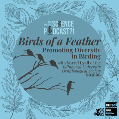 Birds of a Feather: Promoting Diversity in Birding, with Sorrel Lyall