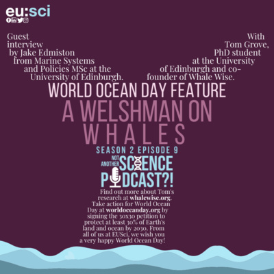 A Welshman On Whales: A World Ocean Day Special with Tom Grove