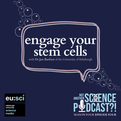 Engage Your Stem Cells