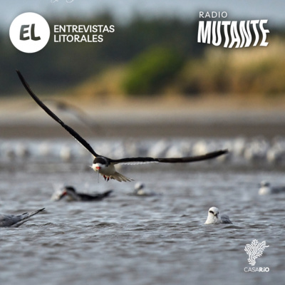 S.O.S. para salvar la Albufera de Mar Chiquita - Diálogo con Hugo Gribman