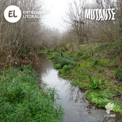 Parques lineales inundables para La Plata