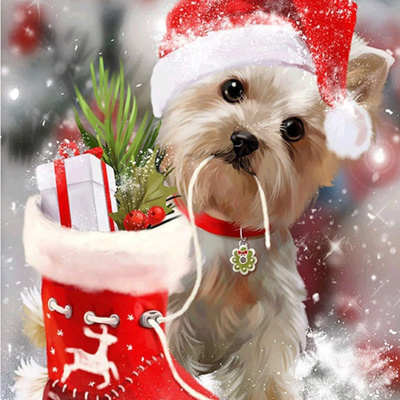 Larry's Biblecast Exclusive: A Celebration of Christmas Music!! ☃️🎄🎅🏾
