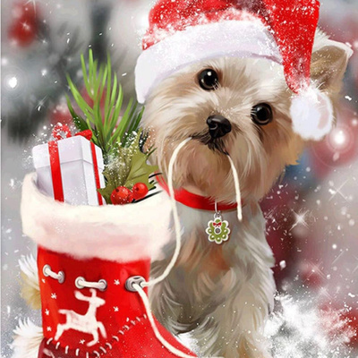 Larry's Biblecast Christmas Edition: A Celebration of Christmas Music🎄