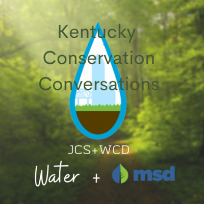 MSD and Water Quality in Jefferson County