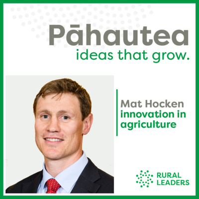 Mat Hocken: Innovation in agriculture