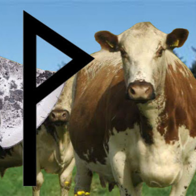 WUNJO / PUNJO - JORNADA COM TAMBOR WUNJO / PUNJO - JORNADA COM TAMBOR