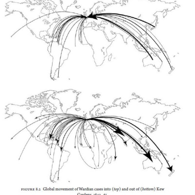 Currently playing episode