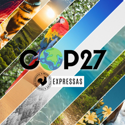 #52: COP27