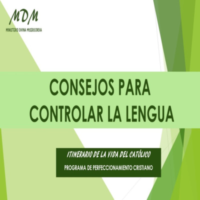 Consejos para controlar la Lengua. Inquietudes del cristiano. Itinerario de la vida del católico. episode artwork