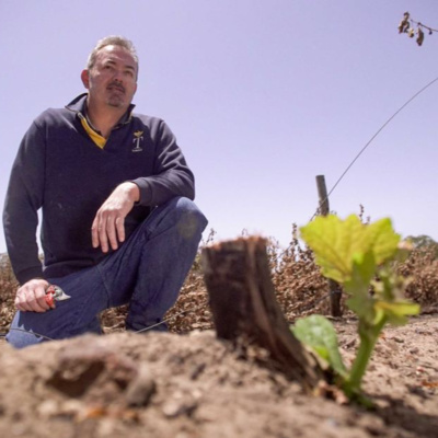 Randal Tomich - Tomich Wines (Barossa) episode artwork