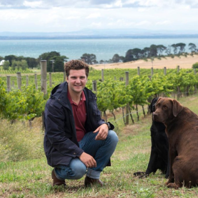 The Wine Show Australia