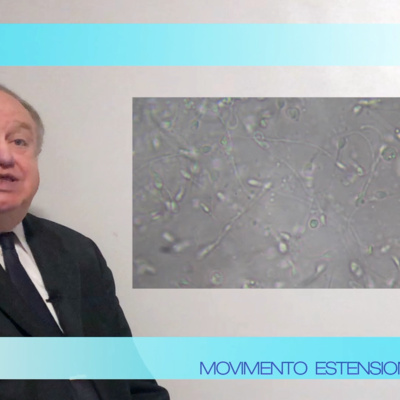 TRATTAMENTI-Per vivere fino a centocinquant'anni puo' essere molto importante la Spermidina, ma derivera' veramente dallo sperma questo tipo di sostanza? episode artwork
