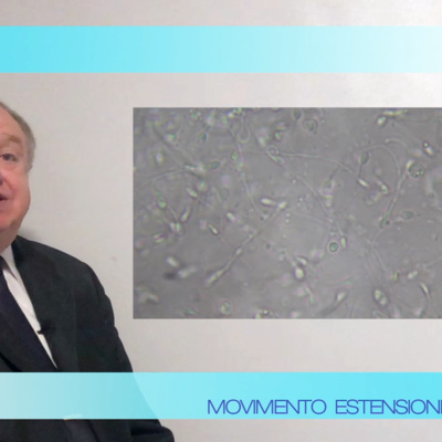 VIDEO:Per vivere fino a centocinquant'anni puo' essere molto importante la Spermidina, ma derivera' veramente dallo sperma questo tipo di sostanza? episode artwork