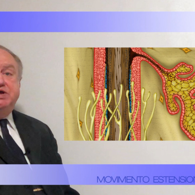 Movimento Estensione Vita