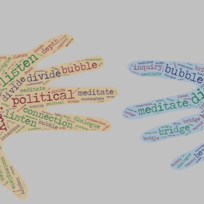 BONUS | Dharma in Action: Political Divide episode artwork