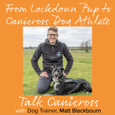 Lockdown Puppies and Introducing Canicross