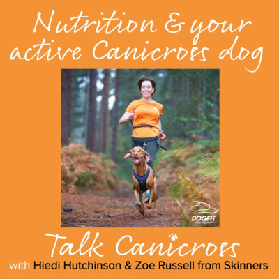 Nutrition and your active Canicross dog