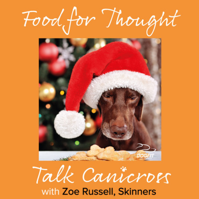 Food For Thought - Xmas treats for your dog and what to avoid