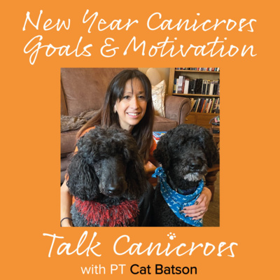 New Year Canicross Goals & Motivation