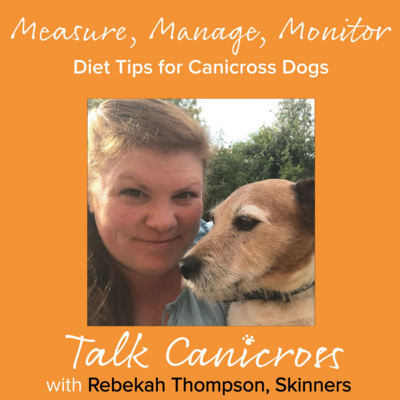 Measure, Manage, Monitor - Diet Tips for Canicross Dogs