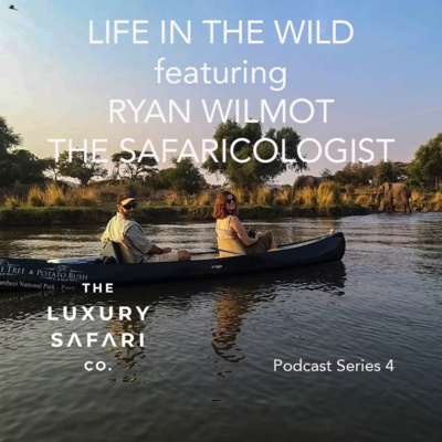 RYAN WILMOT (The Safaricologist) - Life In The Wild