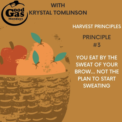 EP 32 - Harvest Principles #3: Are you SWEATING yet?