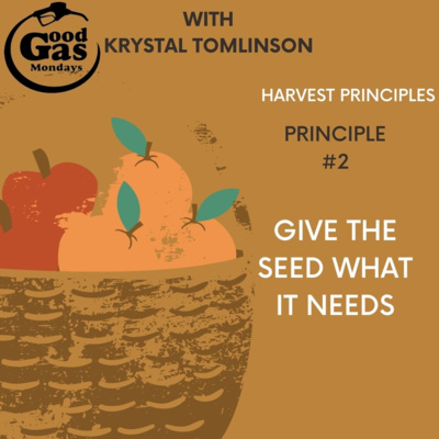 EP30 - Harvest Principle #2: Give the seed what it needs 