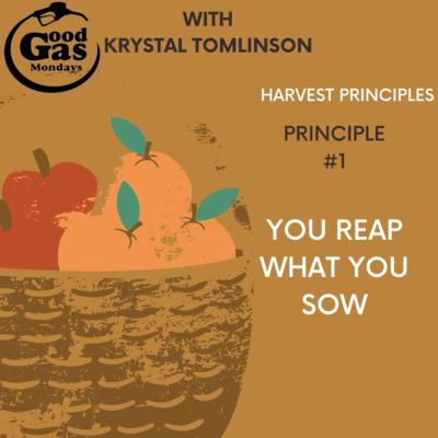 EP29 - HARVEST PRINCIPLE #1: You reap what you sow