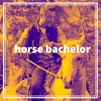 CROWNE | horse bachelor CROWNE | horse bachelor