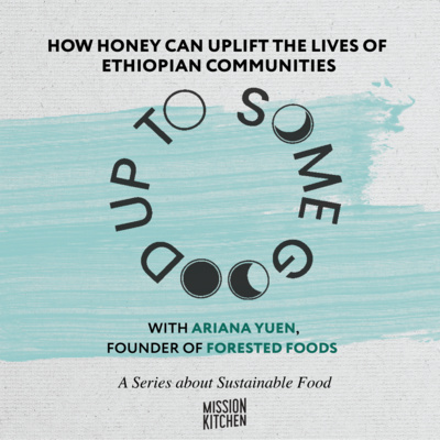 S2E2: How honey can uplift the lives of Ethiopian communities, with Ariana Yuen, Founder of Forested Foods