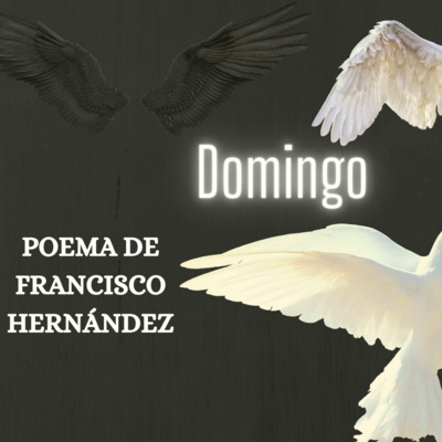 Relatos Alucinantes