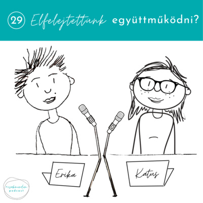 29_Elfelejtettünk együttműködni?