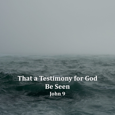 That a Testimony for God Be Seen episode artwork