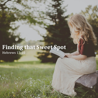Finding that Sweet Spot episode artwork