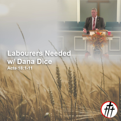 Labourers Needed w/ Dana Dice episode artwork