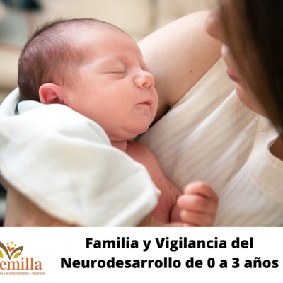 Familia y Vigilancia del Neurodesarrollo de 0 a 3 años