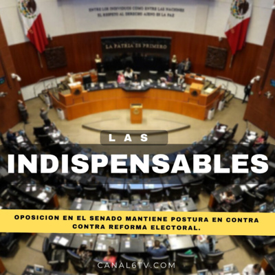 Oposición en el Senado mantiene postura en contra de reforma electoral. episode artwork