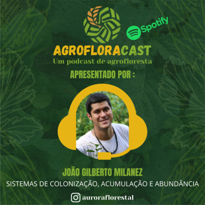 #42 - Sistemas de colonização, acumulação e abundância
