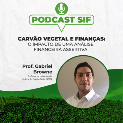 Carvão vegetal e finanças: O impacto de uma análise financeira assertiva 