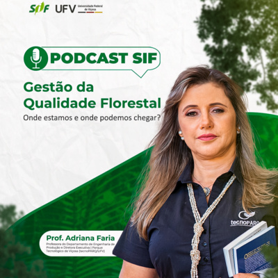 Gestão da Qualidade Florestal: Onde estamos e onde podemos chegar?